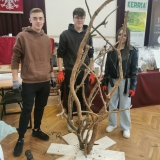 zdjęcie_12067