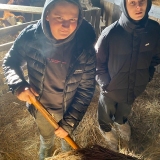 zdjęcie_12247