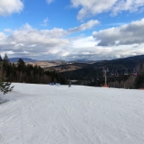 zdjęcie_12493