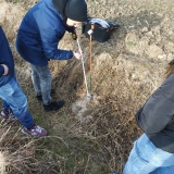 zdjęcie_12497