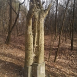 zdjęcie_12517
