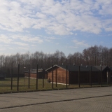 zdjęcie_12519