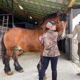 zdjęcie_12823